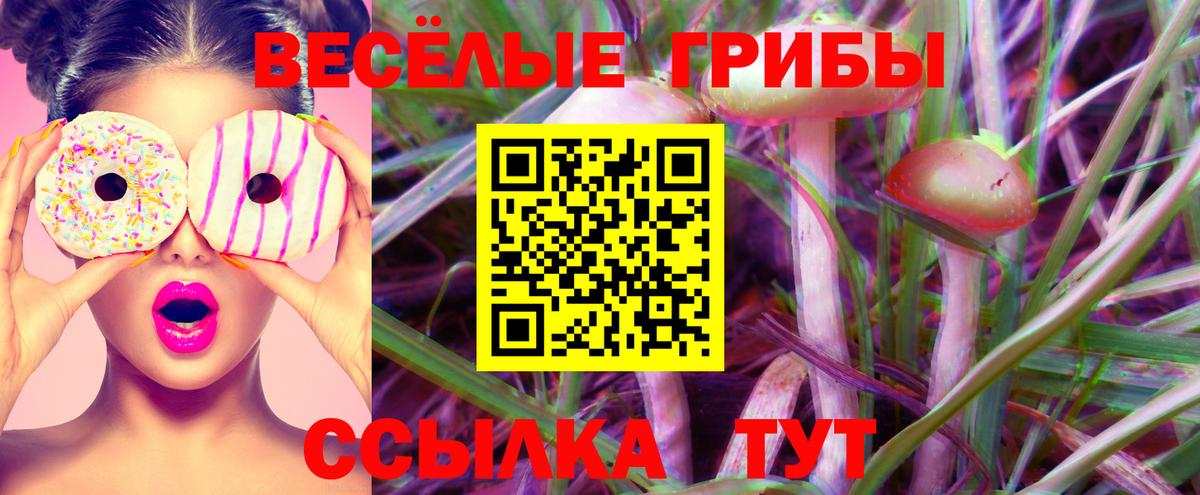 Галлюциногенные грибы Magic Shrooms  Галлюциногенные грибы Magic Shrooms  Вход с VPN  Орск 